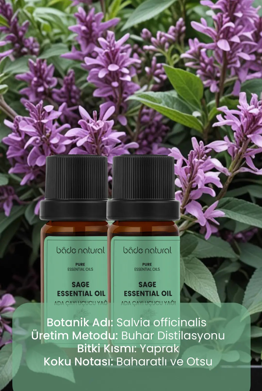 Adaçayı Uçucu Yağı %100 Saf 10 ml - 3