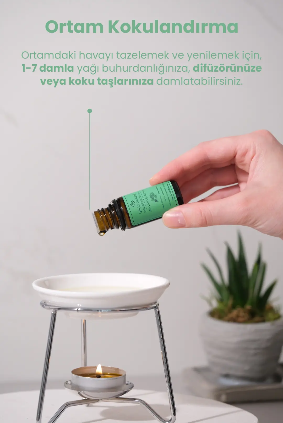 Adaçayı Uçucu Yağı %100 Saf 10 ml - 5