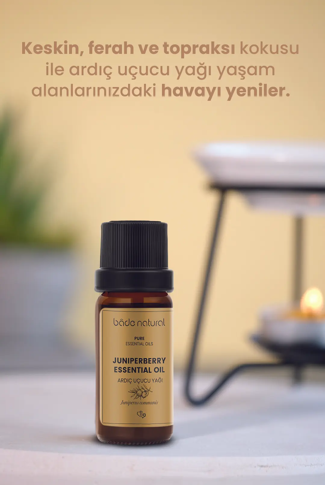 Ardıç Uçucu Yağı %100 Saf 10 ml - 4