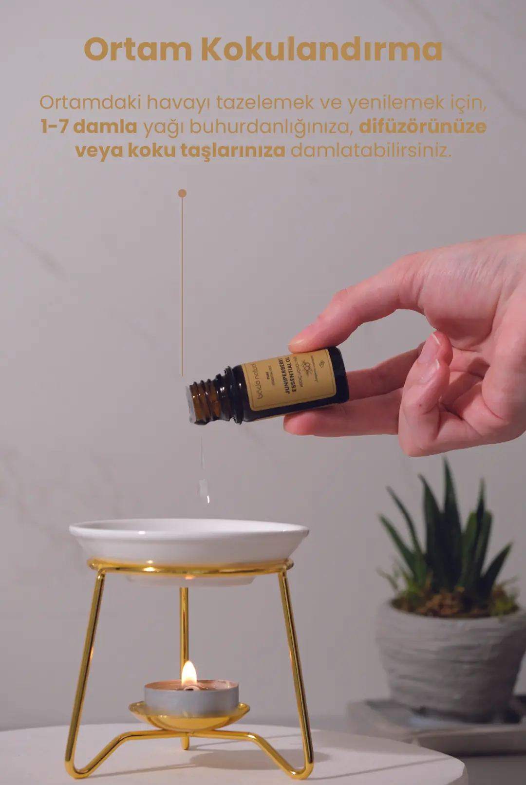 Ardıç Uçucu Yağı %100 Saf 10 ml - 6