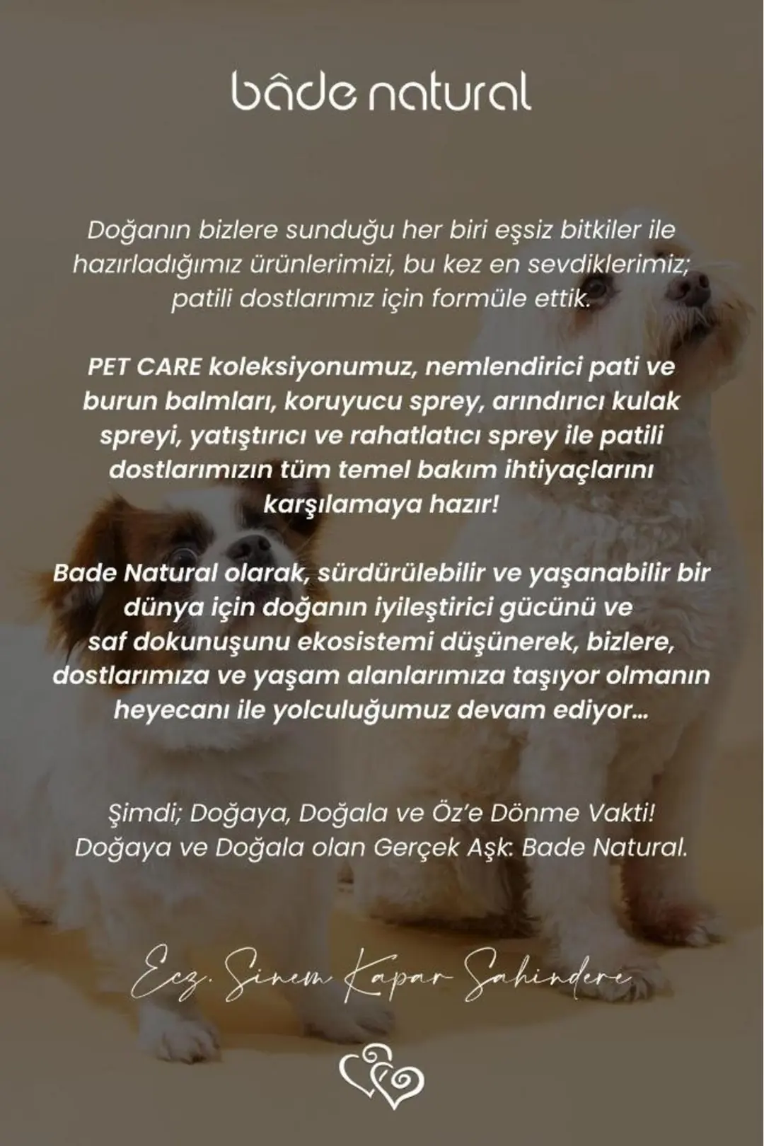 Arındırıcı Evcil Hayvan Kulak Temizleme Spreyi 100 ml - 5
