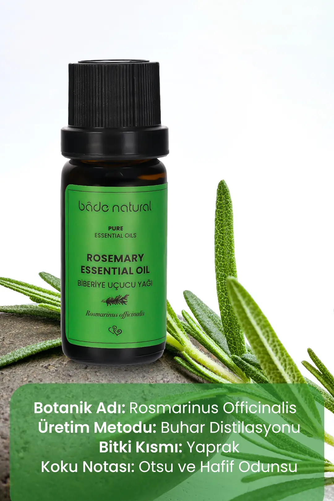 Biberiye Uçucu Yağı %100 Saf 10 ml - 3