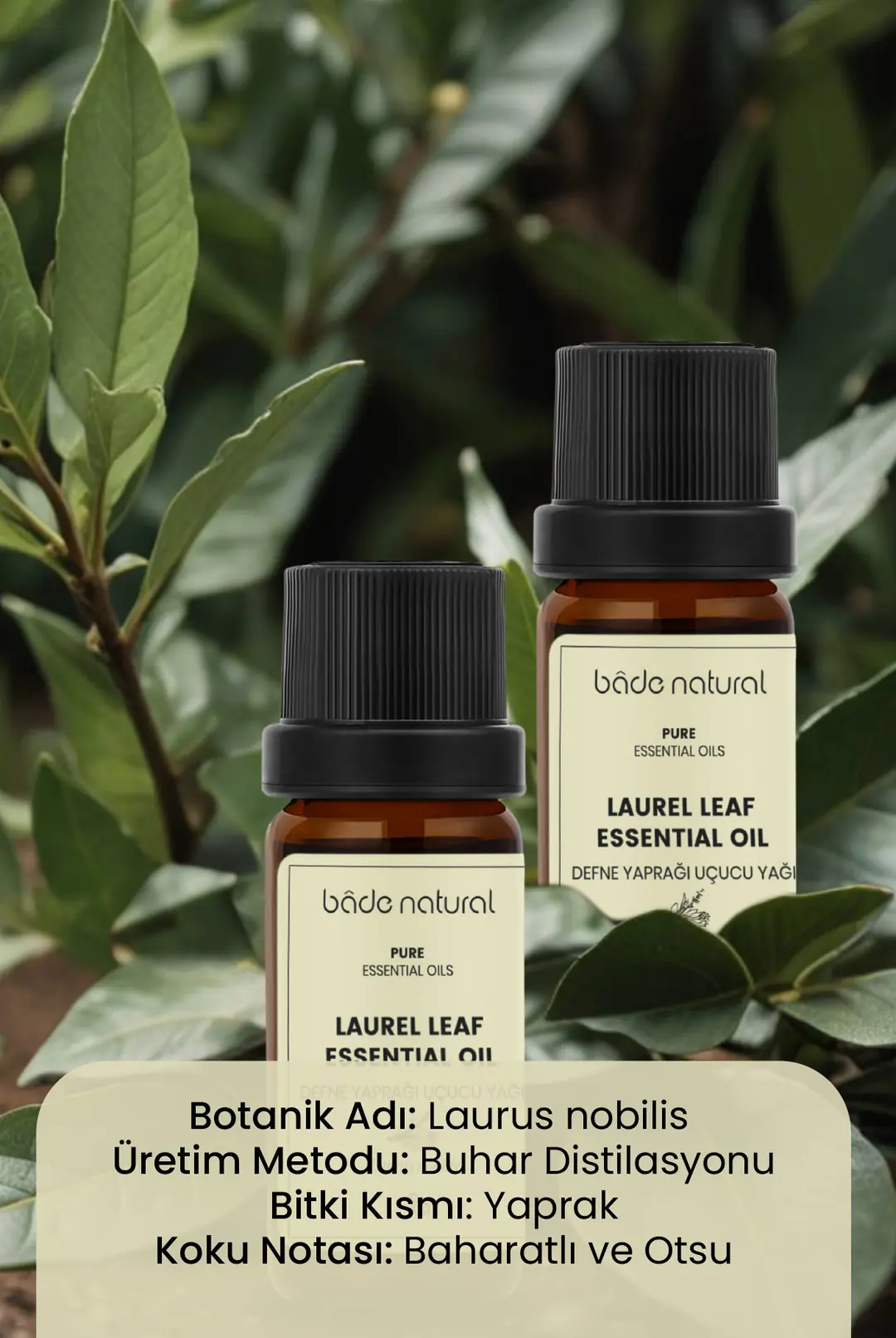 Defne Yaprağı Uçucu Yağı %100 Saf 10 ml - 3
