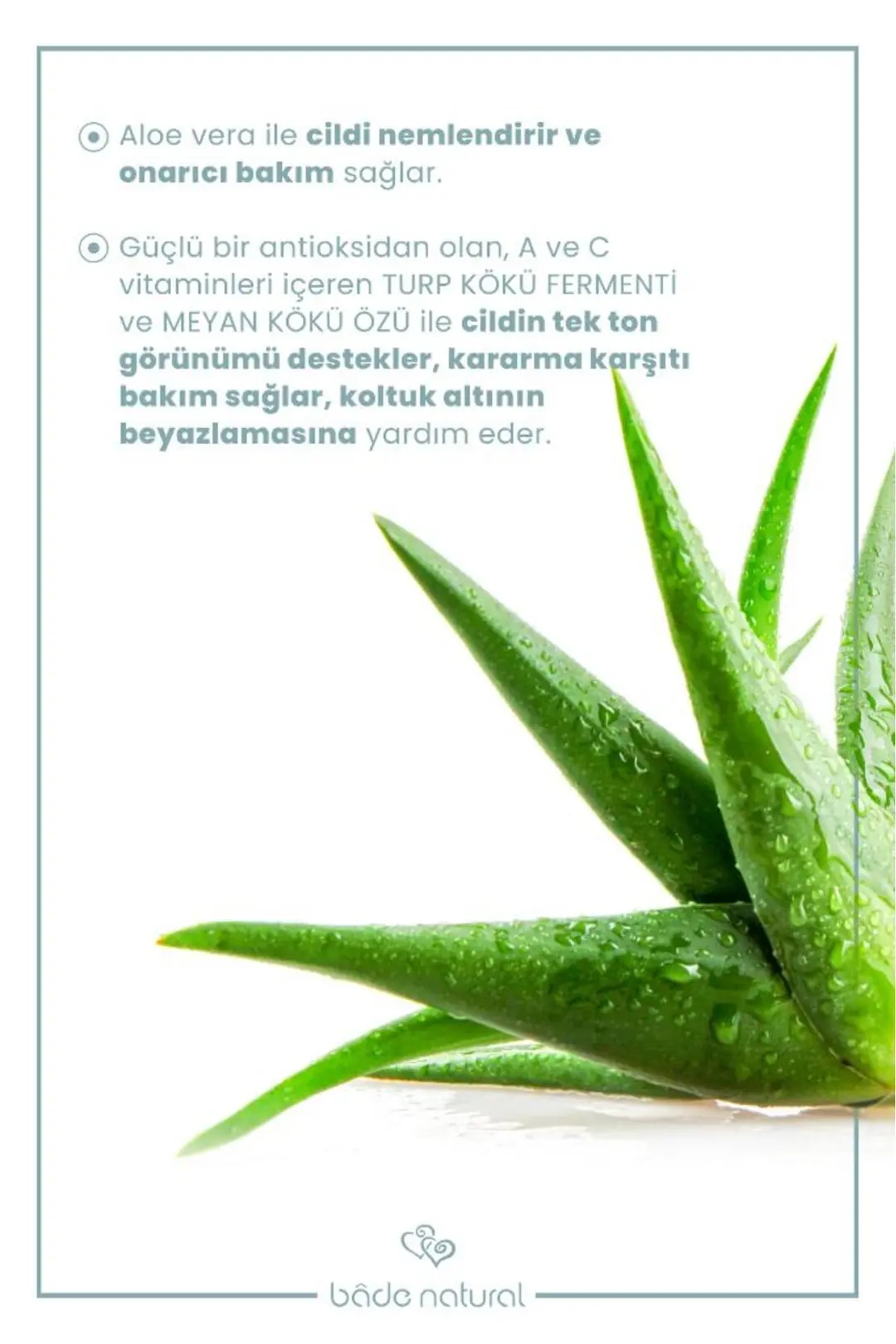 Doğal Roll On Beyazlatıcı Ter Kokusu Önleyici Koltuk Altı Deodorant %100 Doğal ve Vegan 50 ml - 5