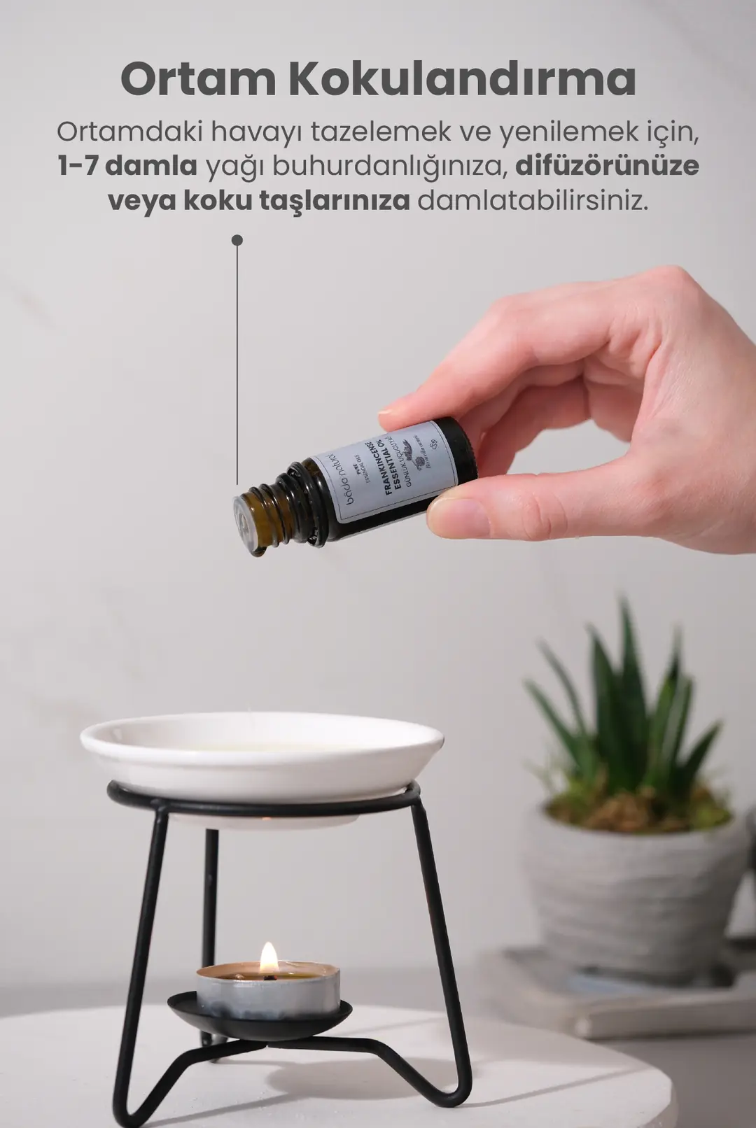 Günlük Uçucu Yağı %100 Saf 10 ml - 5
