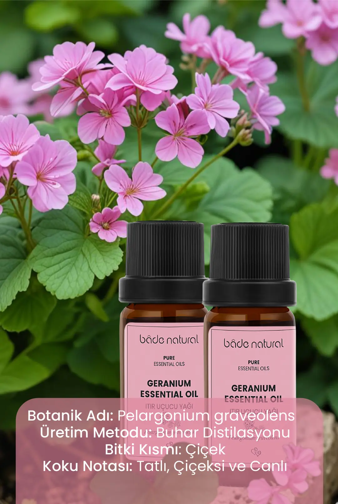 Itır Uçucu Yağı %100 Saf 10 ml - 3