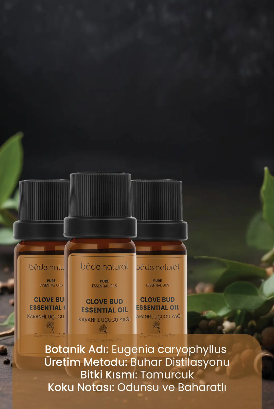 Karanfil Uçucu Yağı %100 Saf 10 ml - 3