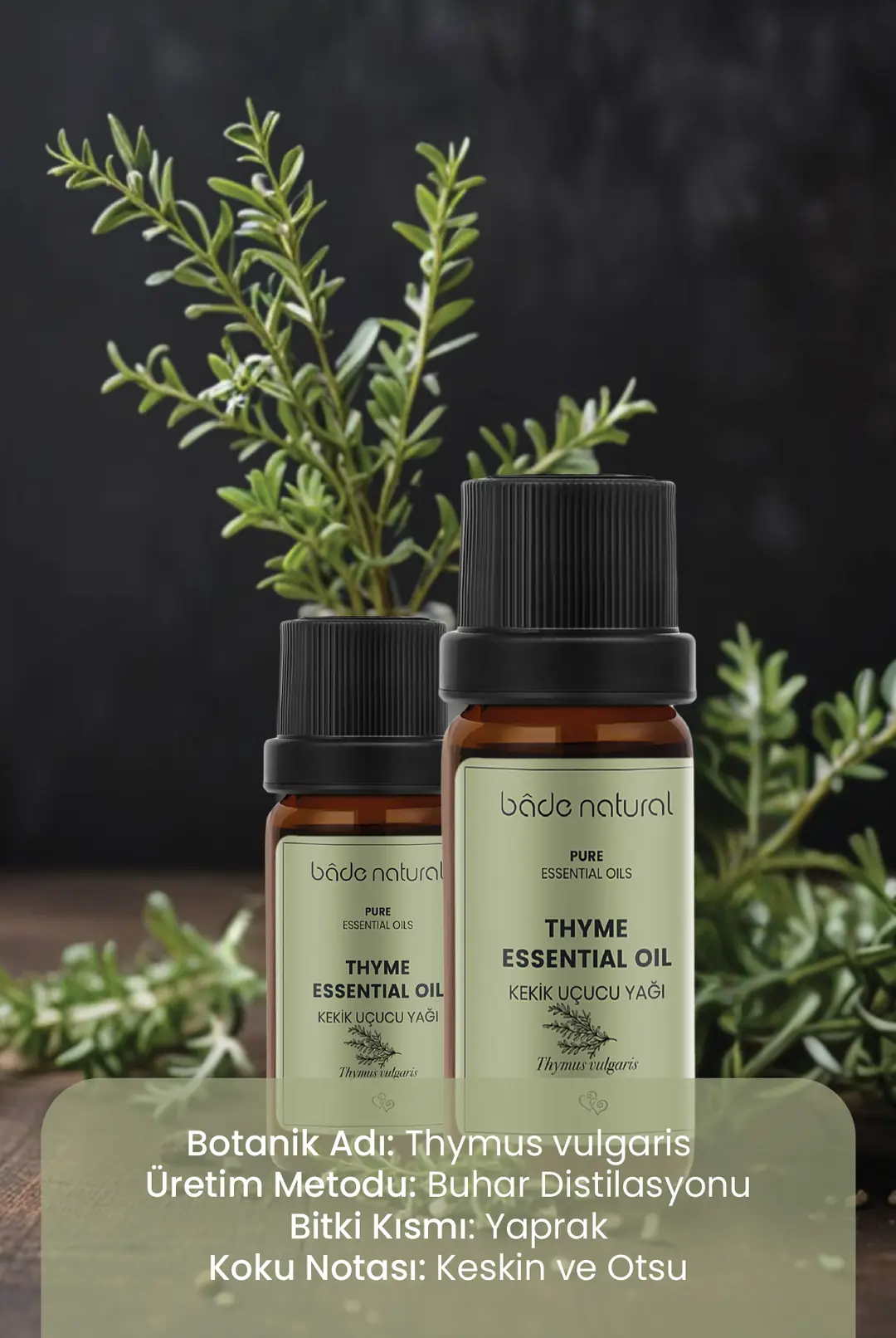 Kekik Uçucu Yağı %100 Saf 10 ml - 3