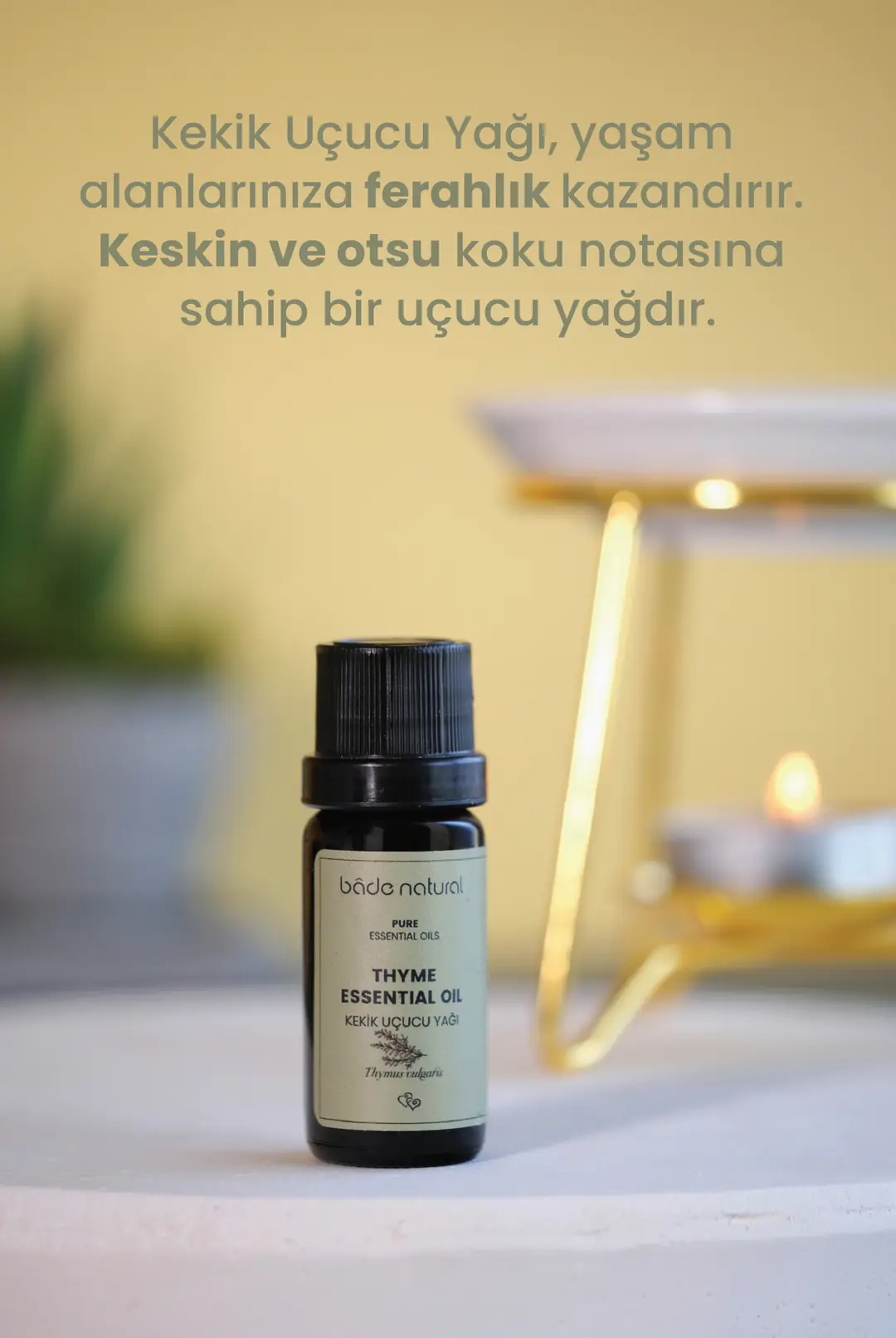 Kekik Uçucu Yağı %100 Saf 10 ml - 4