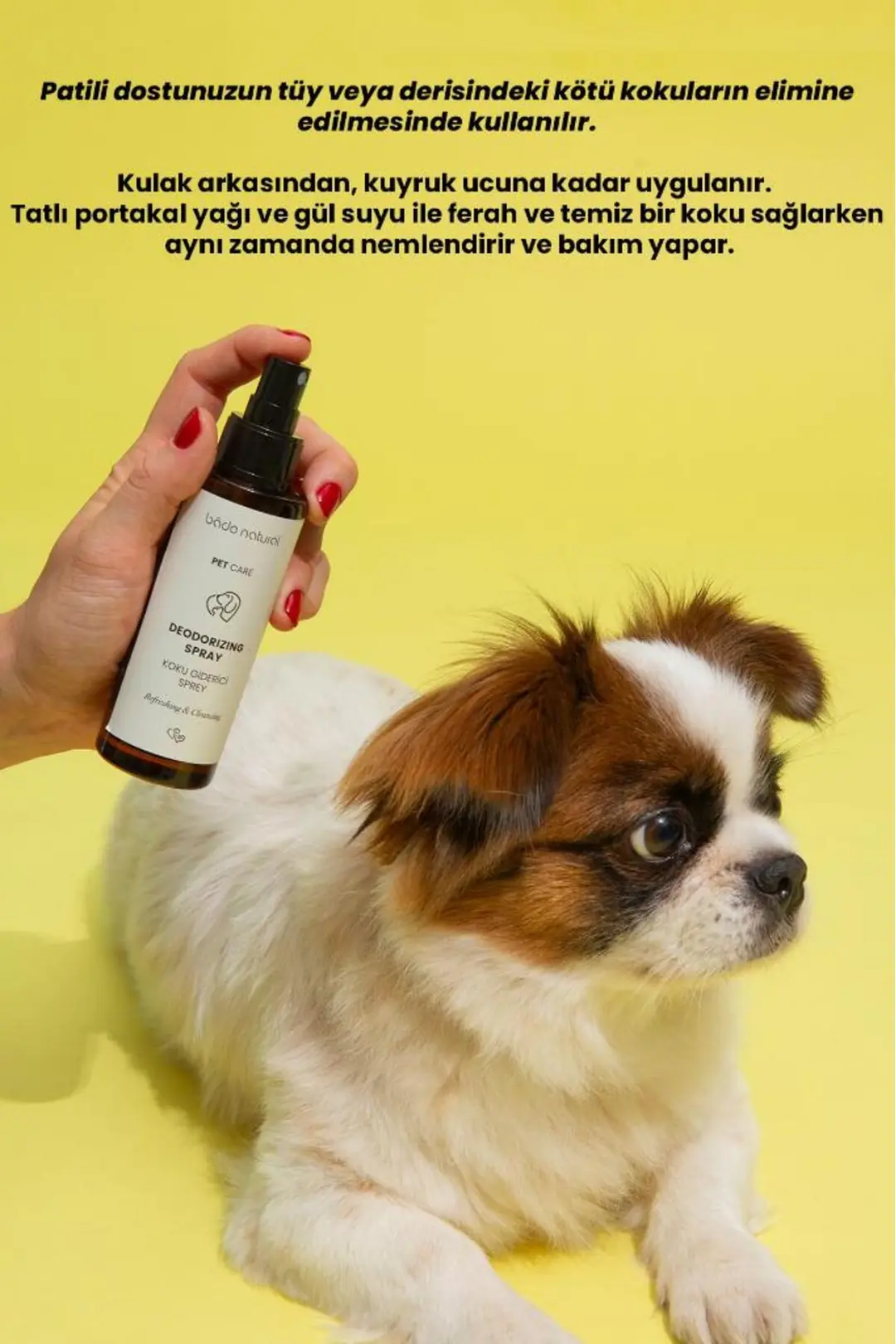 Kötü Koku Giderici Evcil Hayvan Spreyi 100 ml - 2