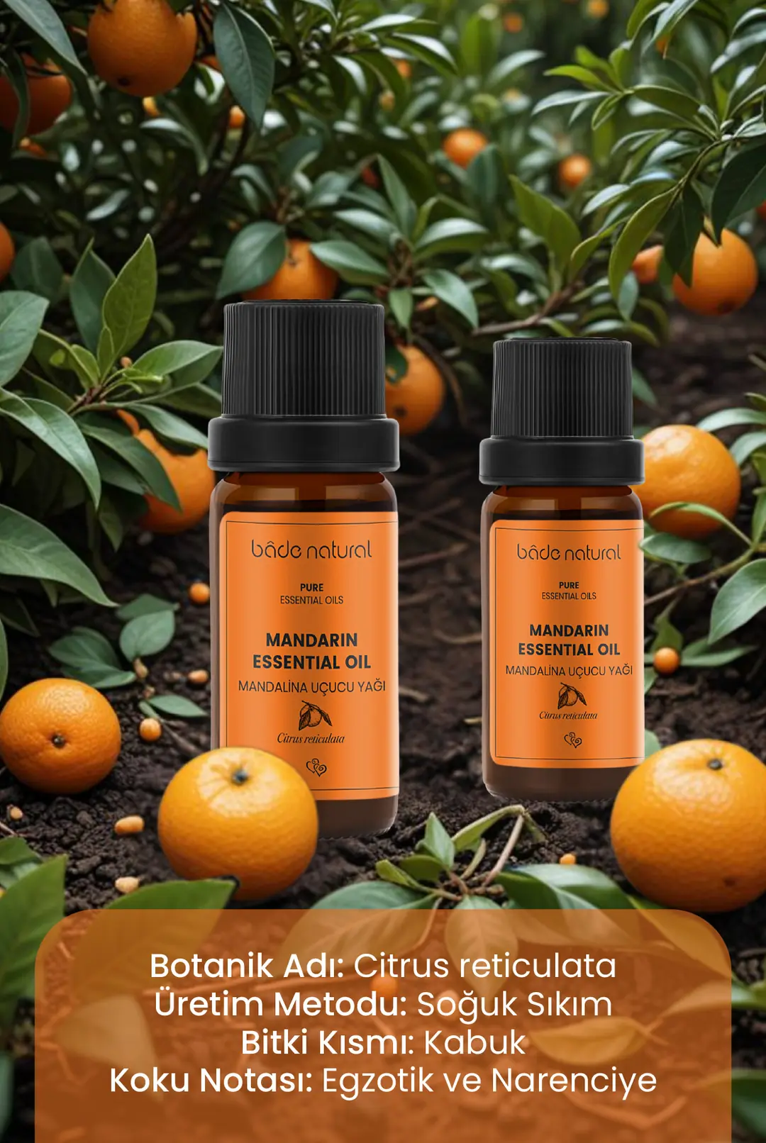 Mandalina Uçucu Yağı %100 Saf 10 ml - 3