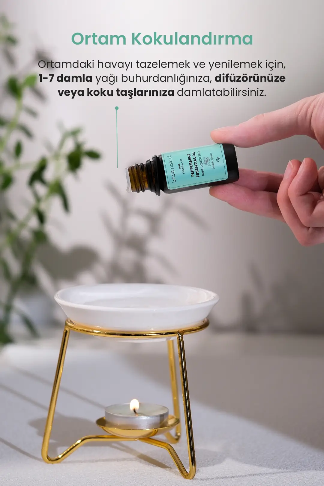 Nane Uçucu Yağı %100 Saf 10 ml - 4
