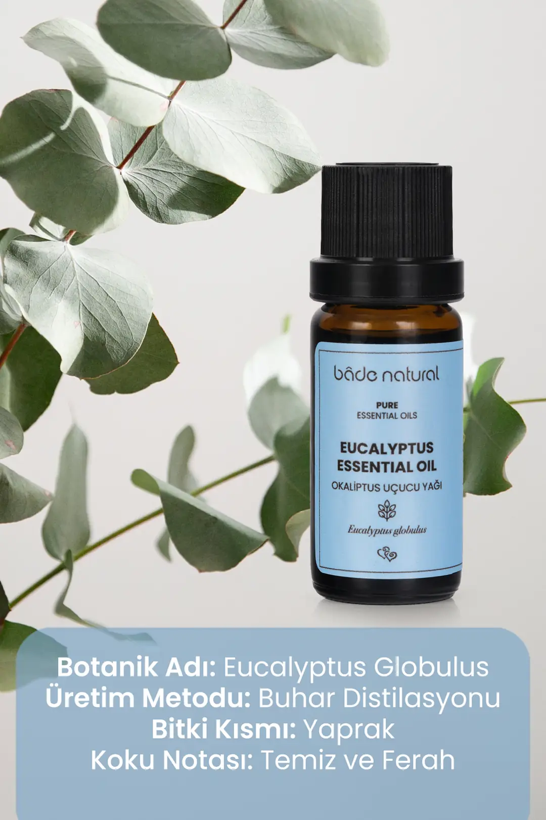 Okaliptus Uçucu Yağı %100 Saf 10 ml - 3