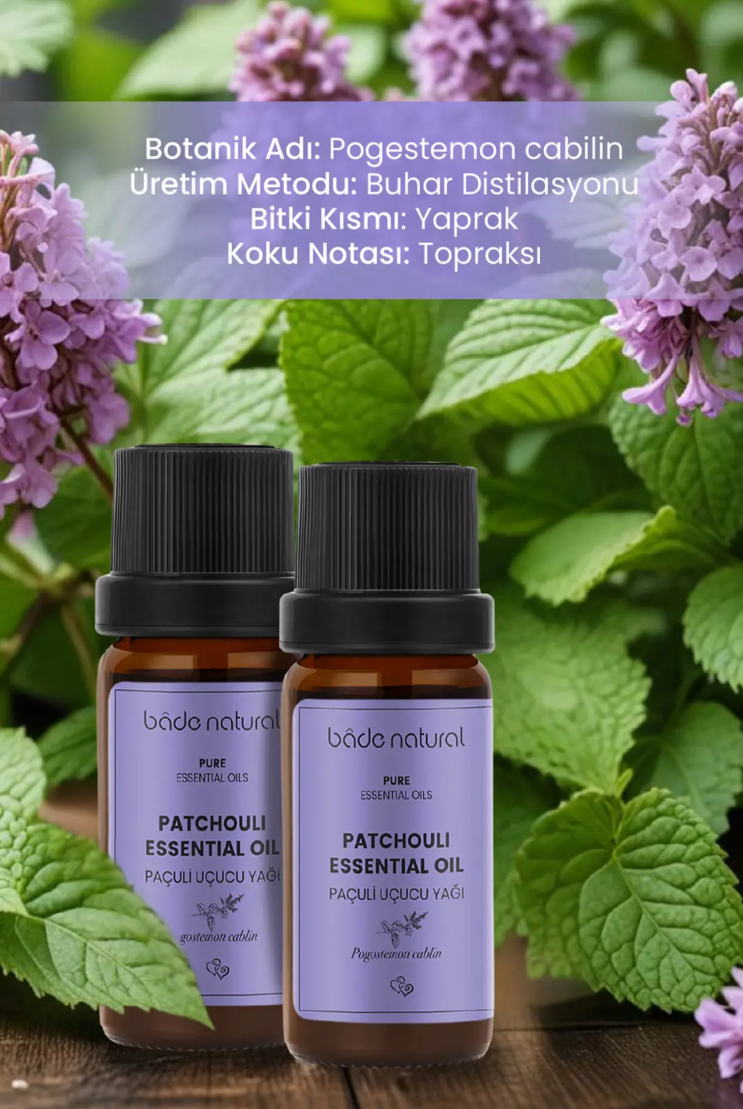 Paçuli Uçucu Yağı %100 Saf 10 ml - 3