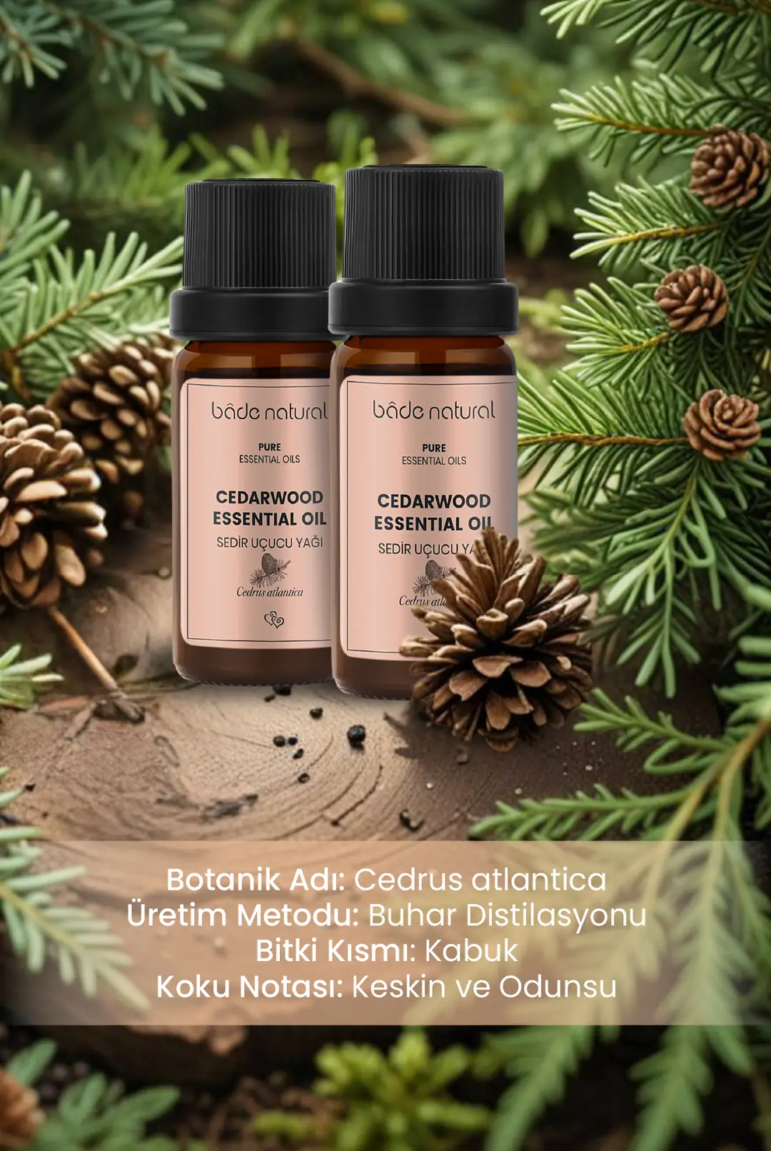Sedir Ağacı Uçucu Yağı %100 Saf 10 ml - 3