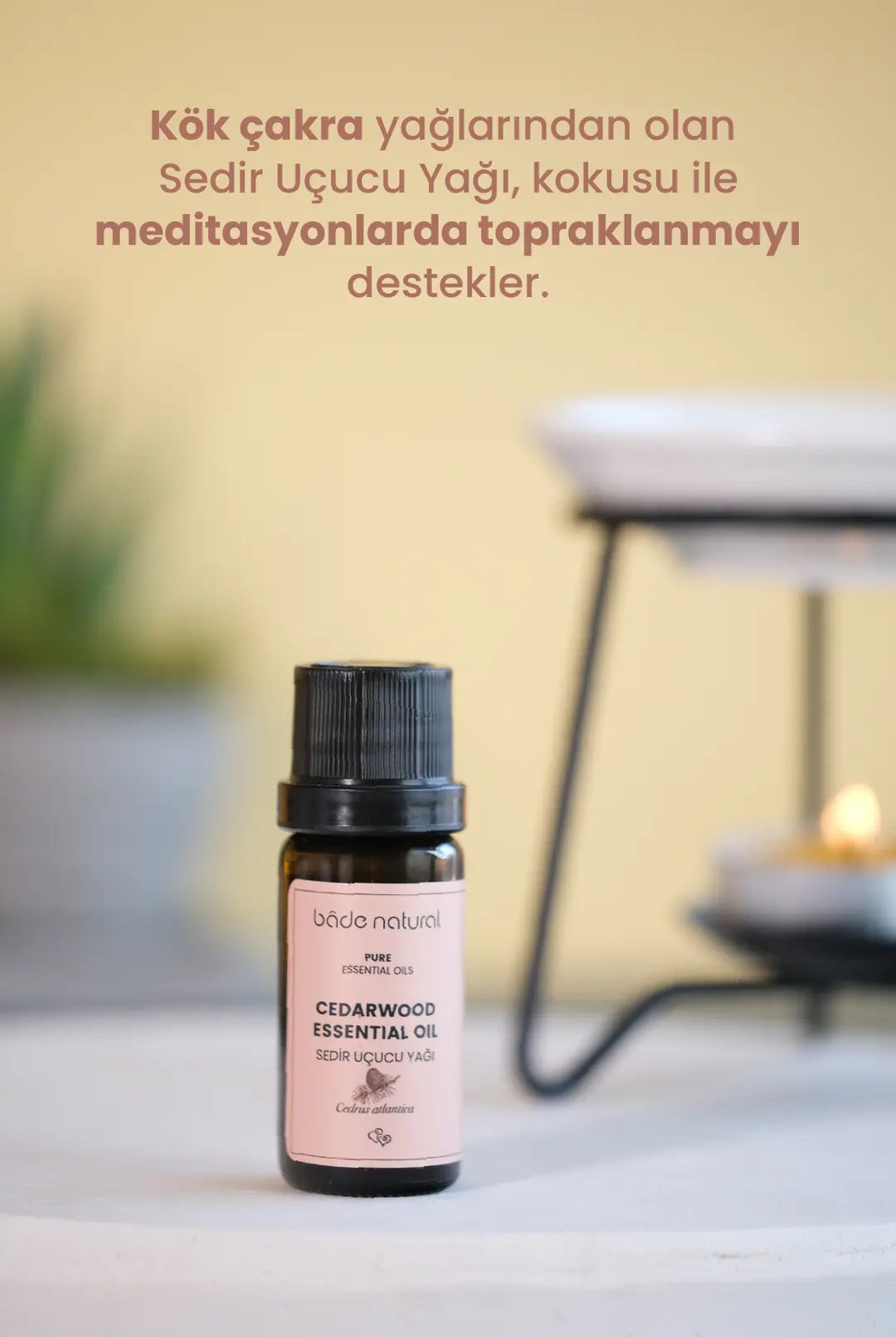 Sedir Ağacı Uçucu Yağı %100 Saf 10 ml - 4