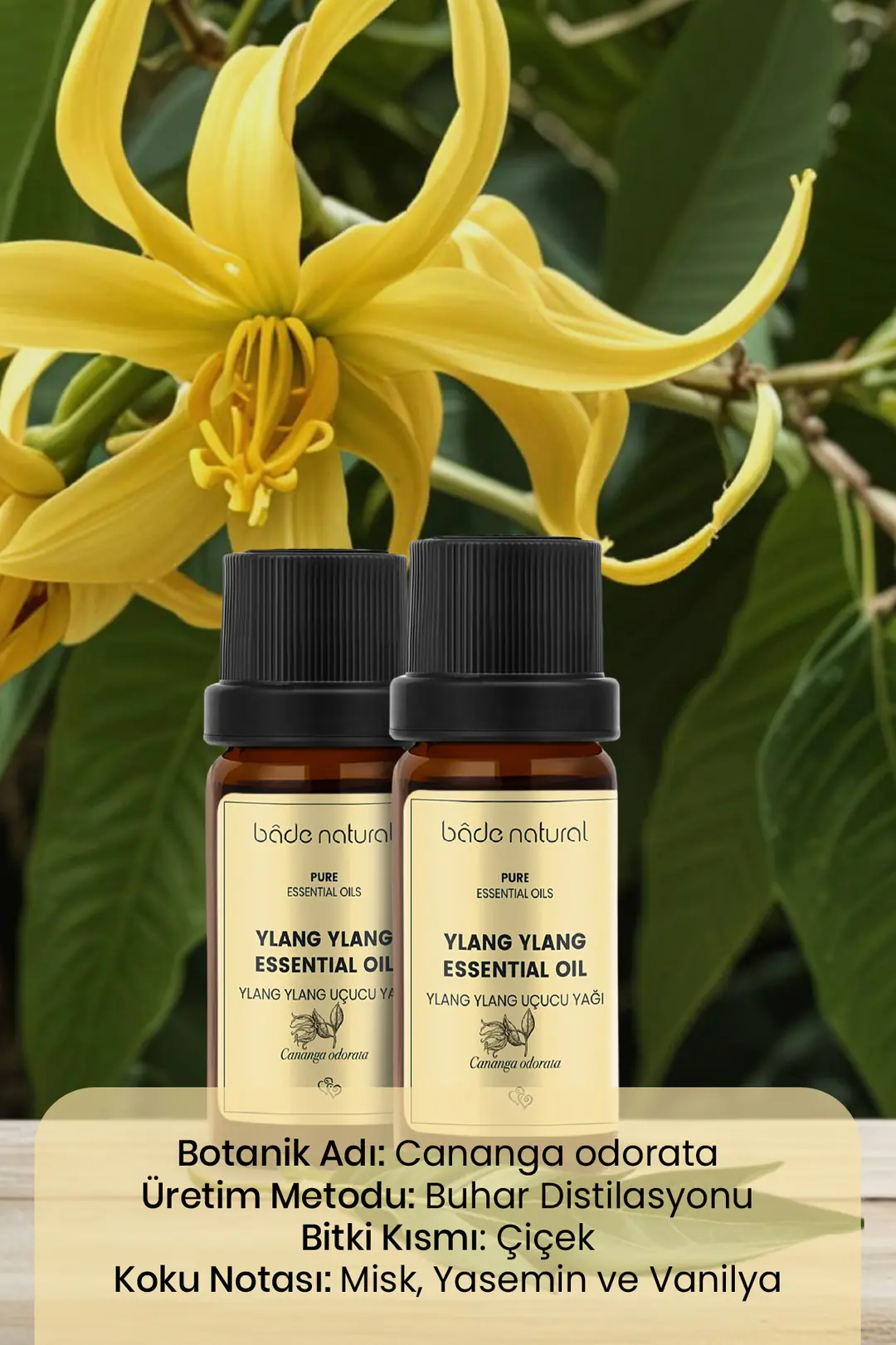 Ylang Ylang Uçucu Yağı %100 Saf 10 ml - 3