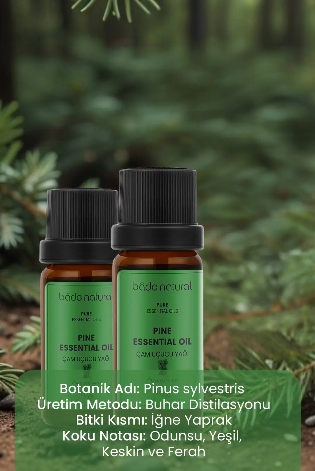Çam Uçucu Yağı %100 Saf 10 ml - 3