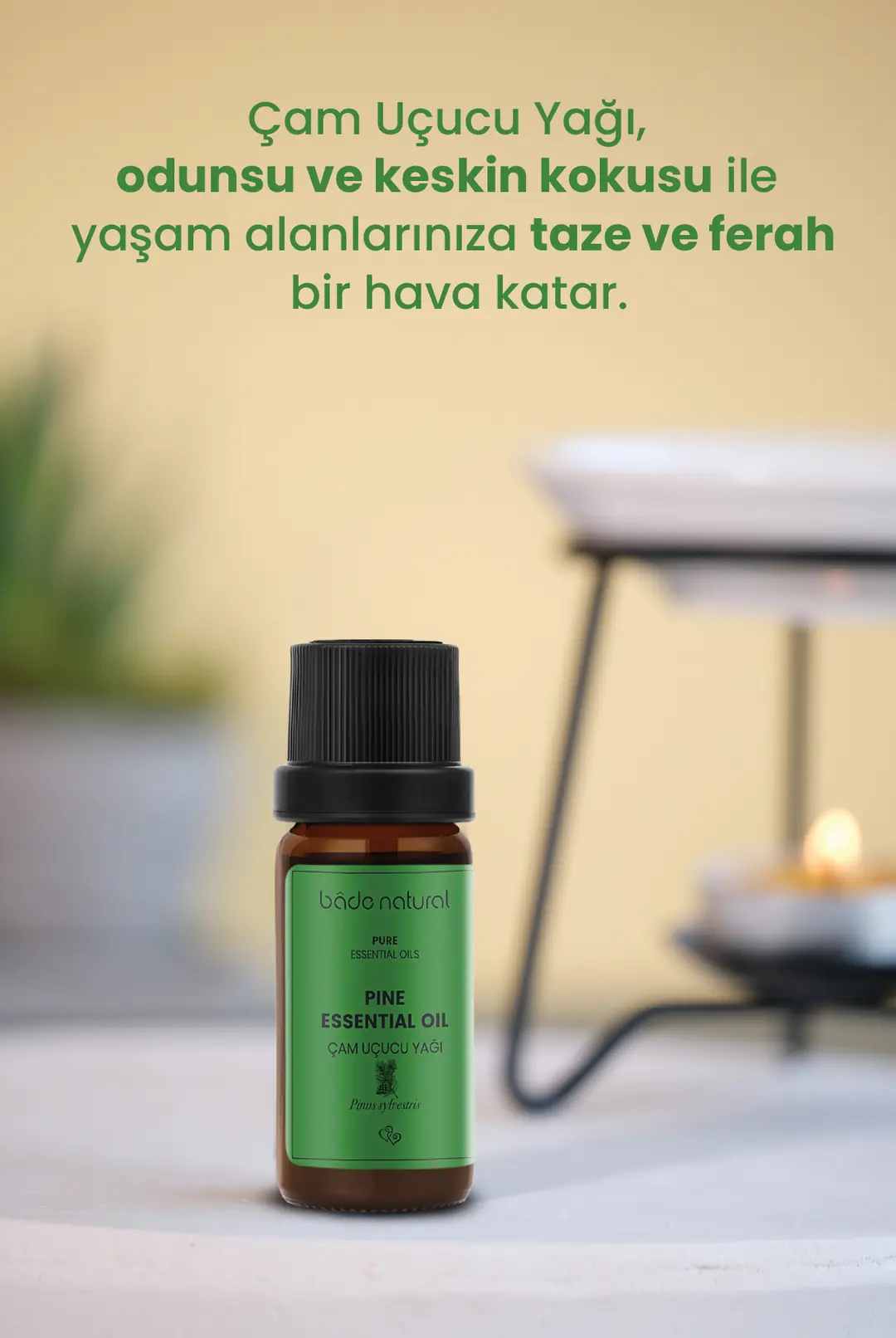 Çam Uçucu Yağı %100 Saf 10 ml - 4