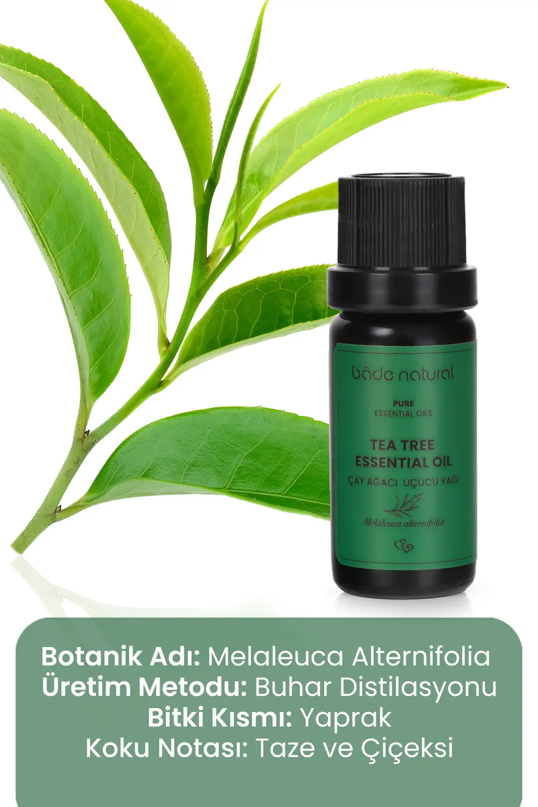 Çay Ağacı Uçucu Yağı %100 Saf 10 ml - 3