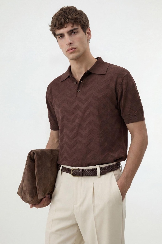 [A26Y3176-Kahve-5] Antioch Zigzag Patterned Polo Collar Knitwear Men's T-Shirt (S)