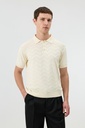 Antioch Zigzag Patterned Polo Collar Knitwear Men's T-Shirt